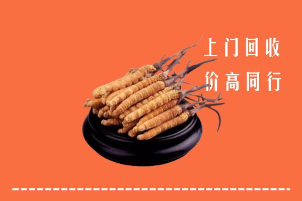高价求购：钦北区回收散虫草